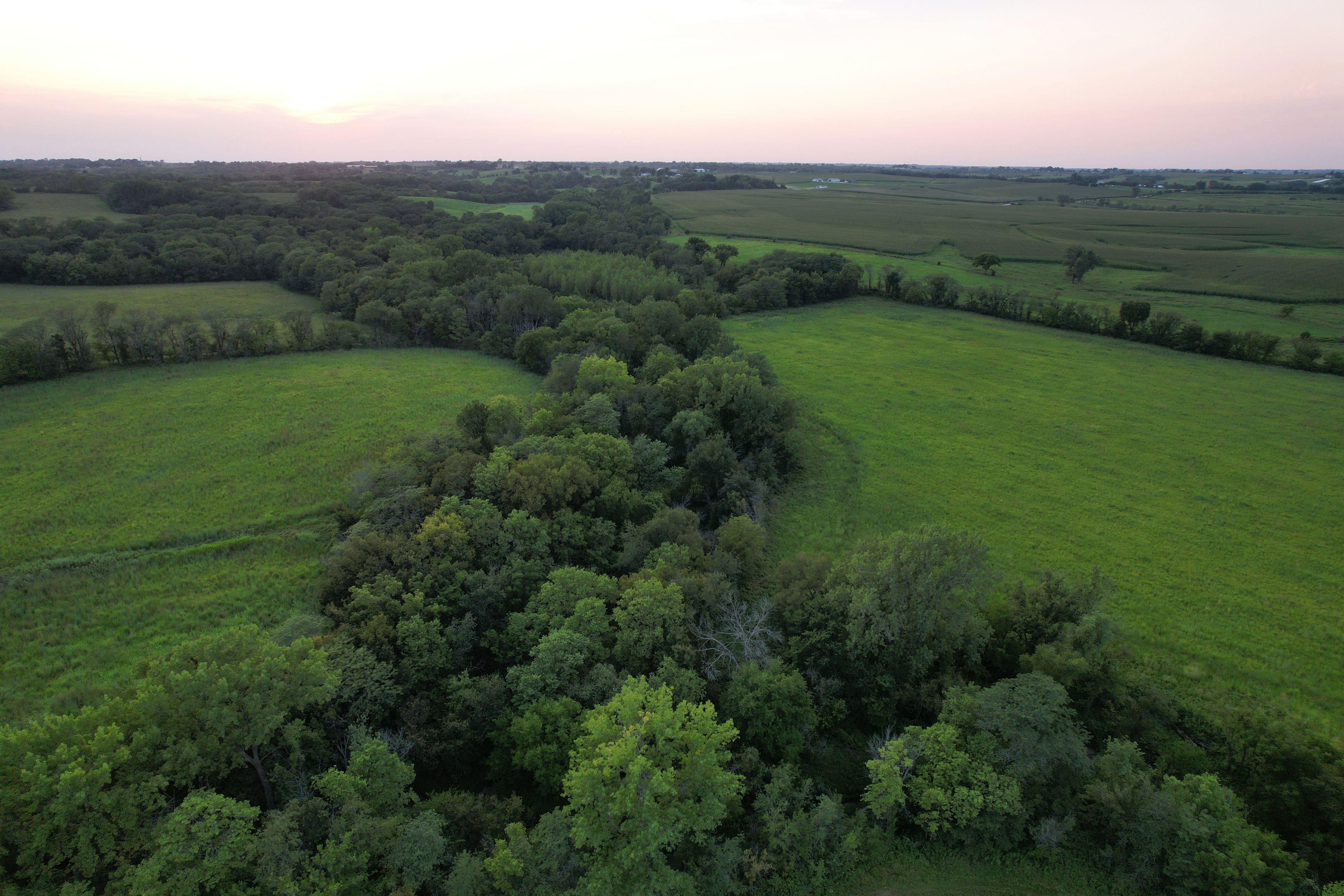 Listing Photo: Krumme Drone (40)